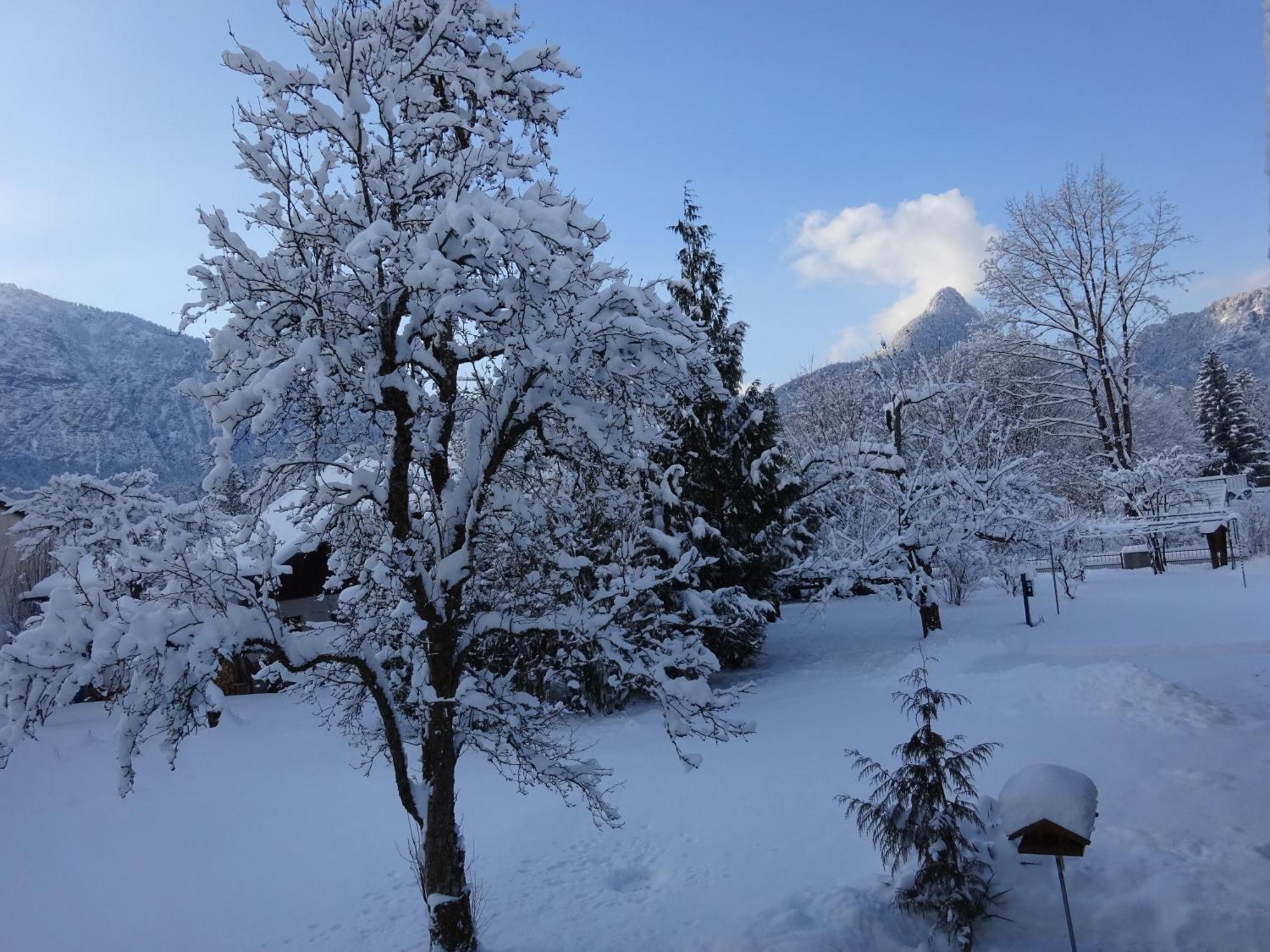 Ferienwohnungen Auhaus Bad Reichenhall Exteriör bild