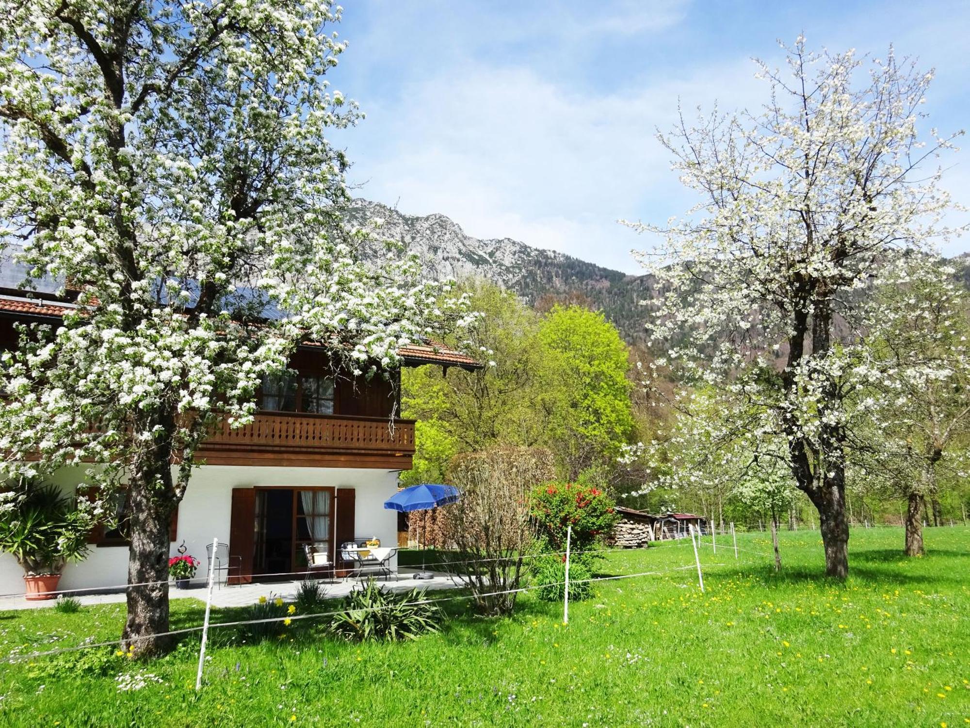 Ferienwohnungen Auhaus Bad Reichenhall Exteriör bild