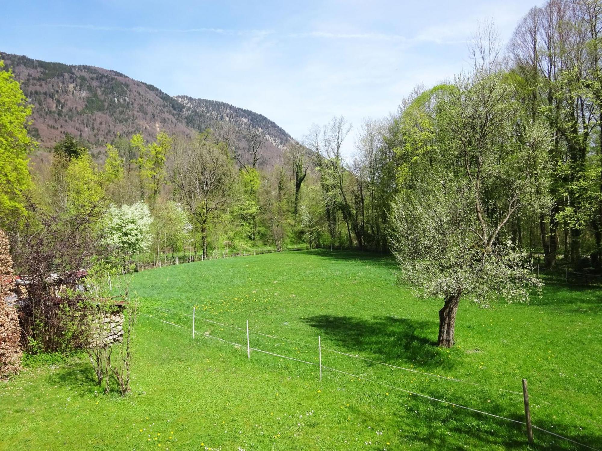 Ferienwohnungen Auhaus Bad Reichenhall Exteriör bild
